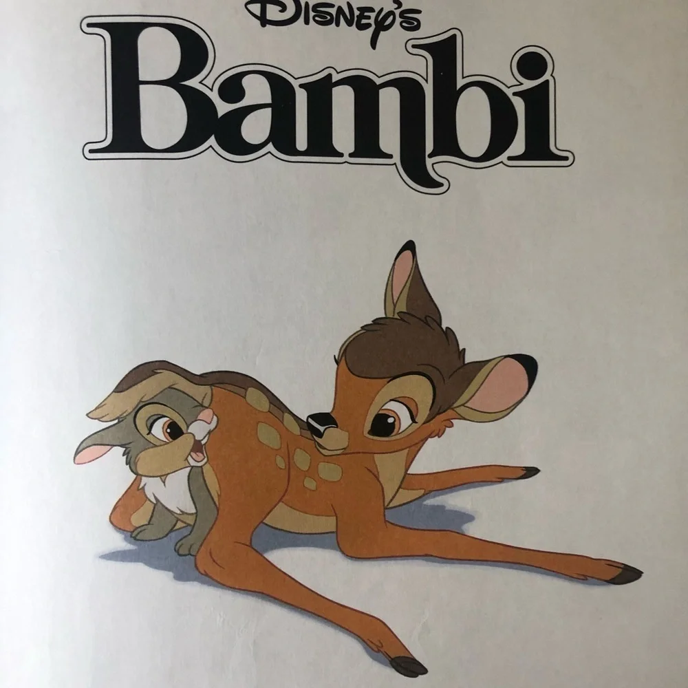 Disney my encourage hardback